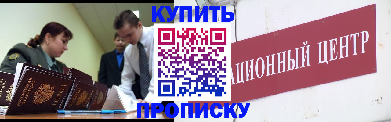 прописка поиск в Звенигово